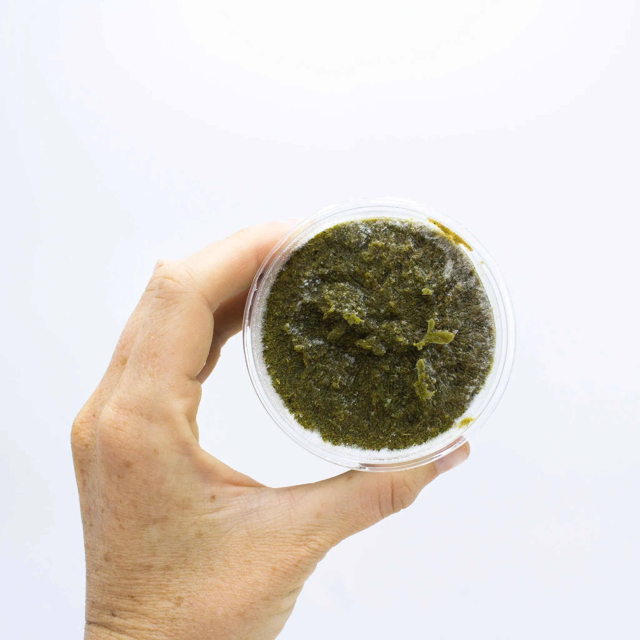 Green Goo PLUS - Raw Superfood Supplement and MIX-IN for Dogs