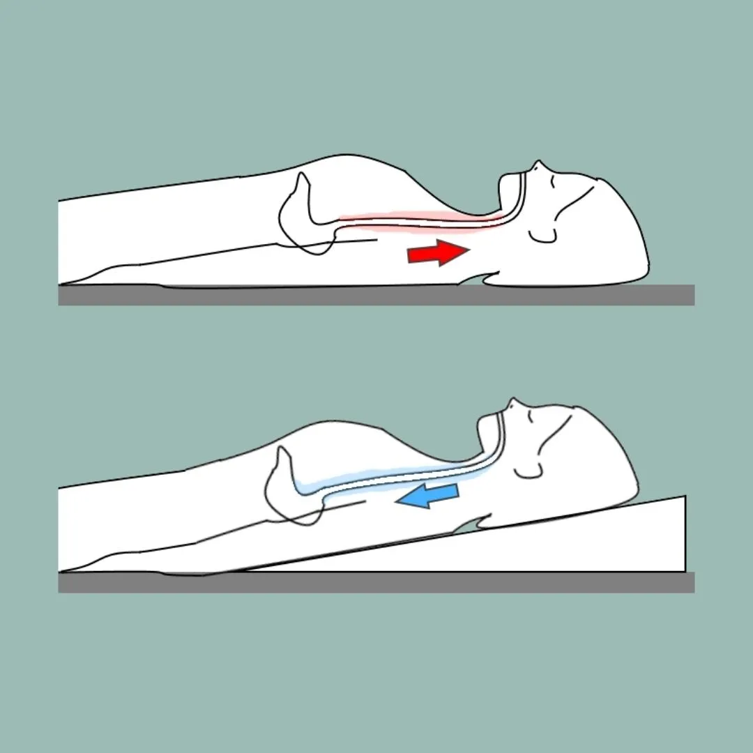 Putnams Bed Wedge - Acid Reflux