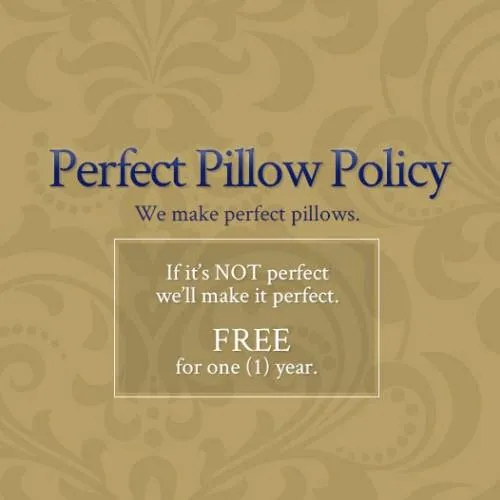 Snuggle Soft 850 Goose Down Pillow Standard Size - Soft