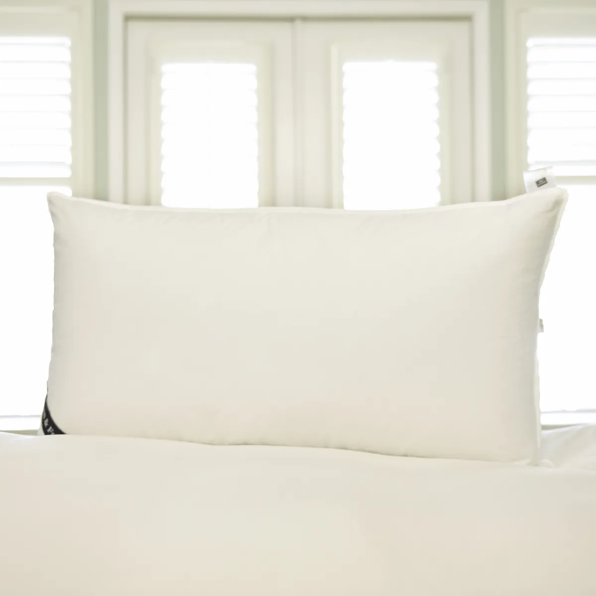 Snuggle Soft Goose Down Pillows